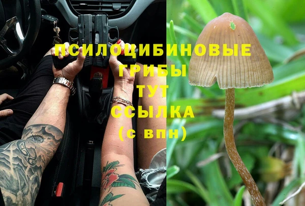 дурь Лиски