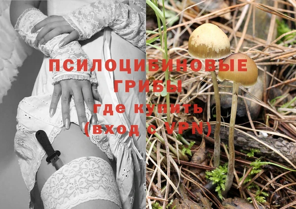 дмт Лихославль