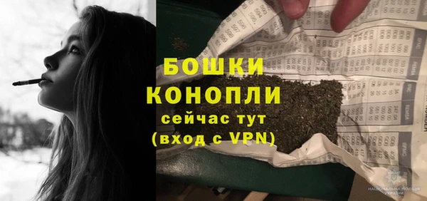 дурь Лиски